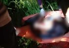Seorang Pemuda Tumbang Rungan Ditemukan Tewas Bersimbah Darah