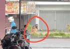 Geger !! Di Duga ODGJ Sedang Bercinta Di tepi Jalan Pangkalan Bun